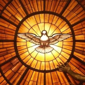 La Iglesia es Una, Santa, Católica y Apostólica